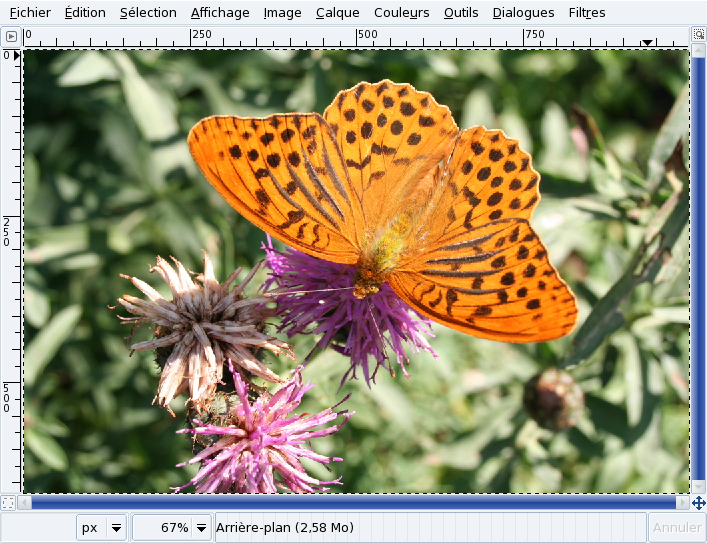Image de GIMP
