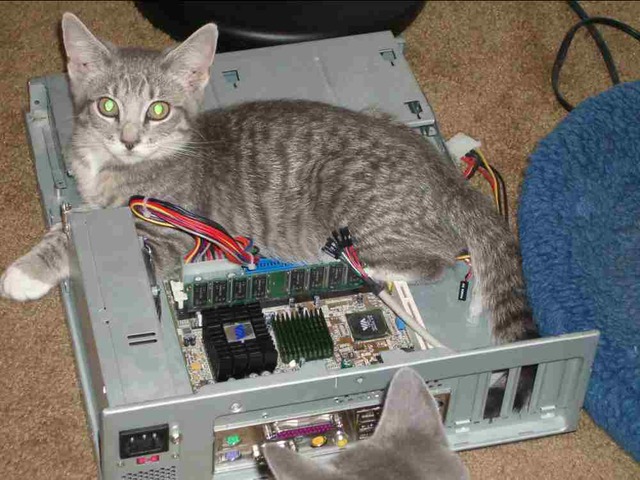 Xavier's workstation. No, the cat is not battery-backed.